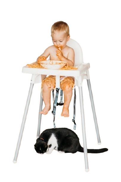 cat eating pasta from floor thrown by baby boy removebg preview